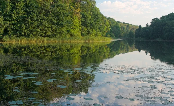 stock image Lake