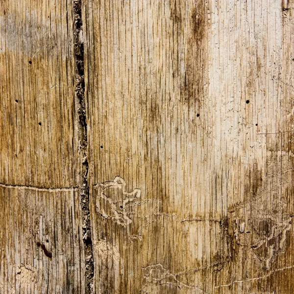 Dřevěný povrch — Stock fotografie