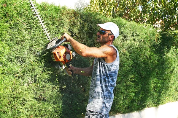 Jardinero. —  Fotos de Stock