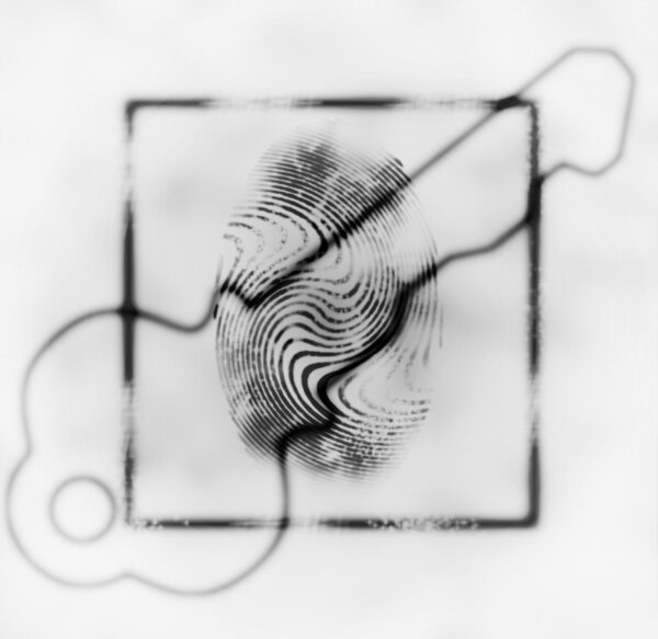 Illustration of the fingerprint