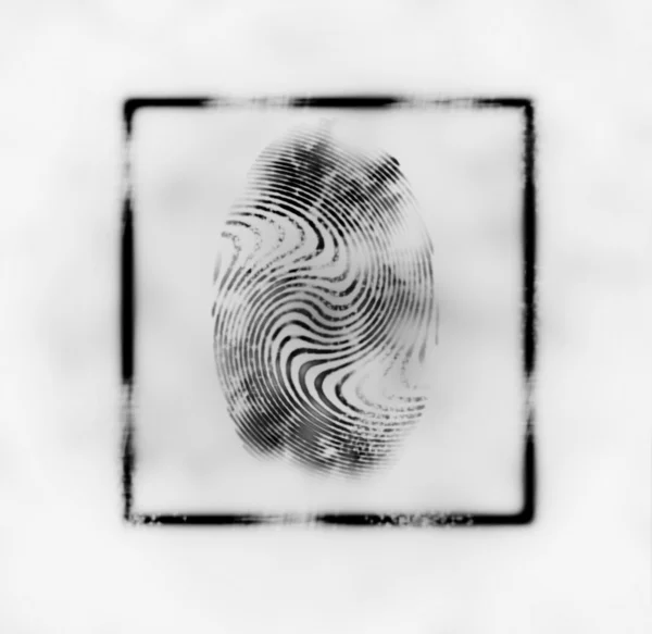 Illustration of the fingerprint — Stock Photo, Image