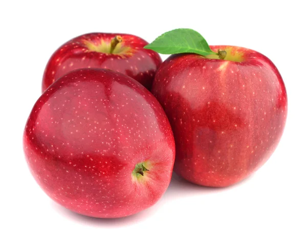 Свіжі яблука впритул — стокове фото