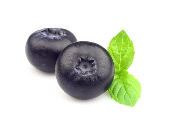 Leaves of mint with blueberry — Stock Photo, Image