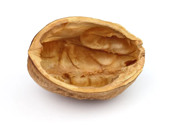 Shell of walnut — Stock Photo, Image