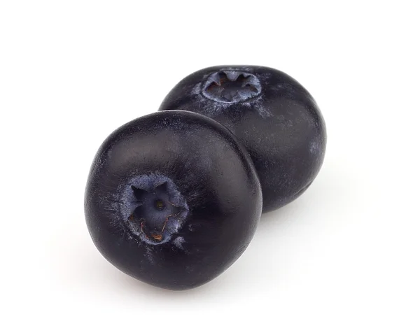 Blueberry in closeup — Stock Photo, Image