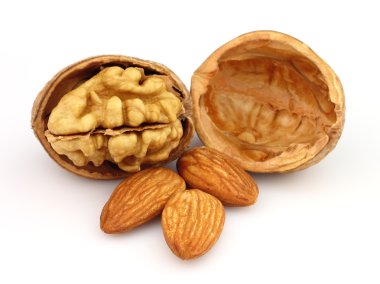 Walnuts with almonds clipart