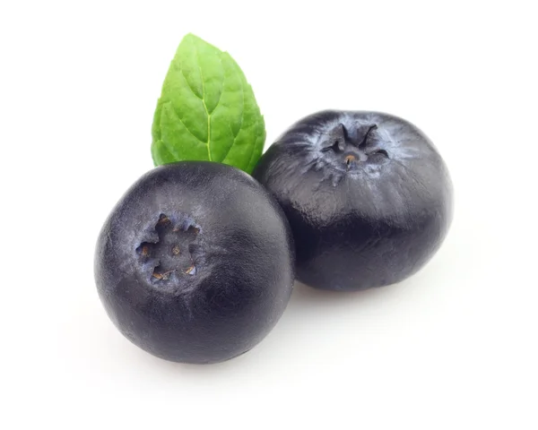 Blueberry with mint — Stock Photo, Image