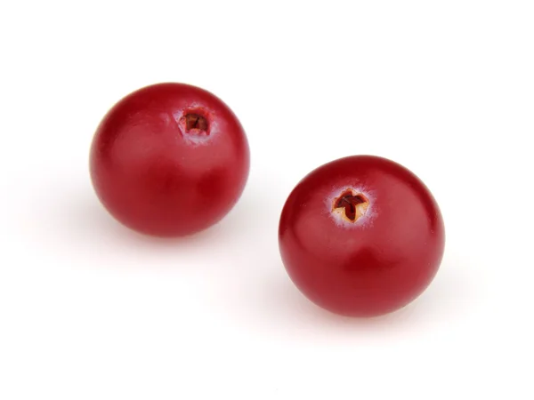 Dva berry v detailním — Stock fotografie