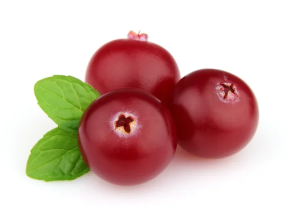 Cranberry com hortelã — Fotografia de Stock