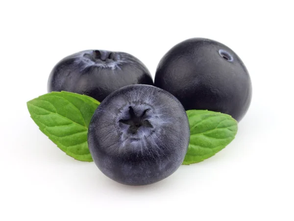Blueberry met blaadjes van munt — Stockfoto