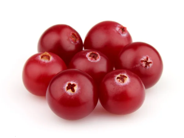 Cranberry manis — Stok Foto