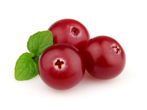 Cranberry segar dengan latar belakang putih — Stok Foto