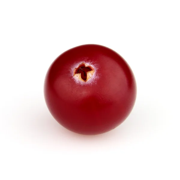 Cranberry em close-up — Fotografia de Stock