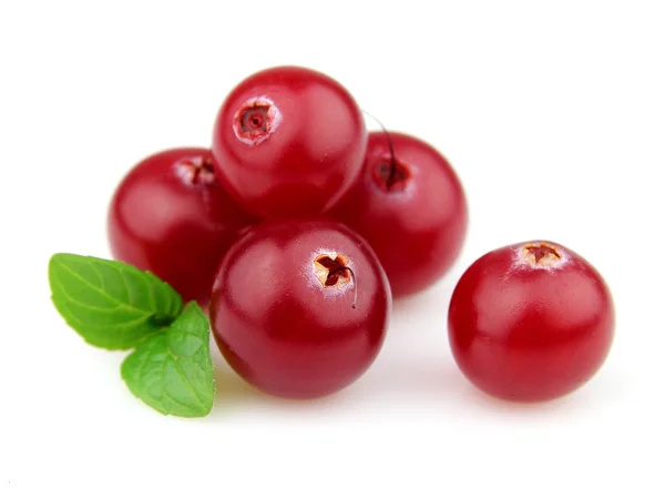 Berry of cranberry with mint — Stock Photo, Image