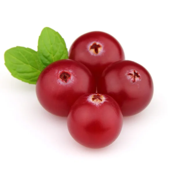 Cranberry with leaves of mint — Stock Photo, Image