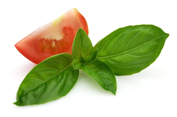 stock image Twig of basil with slice of tomato