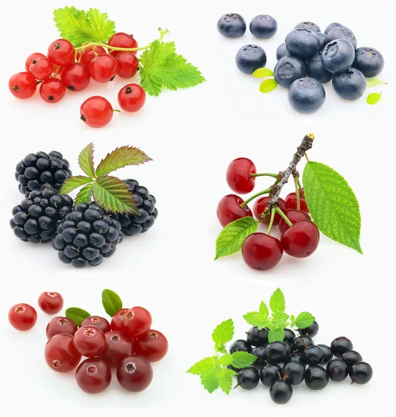 Collage from fresh berries — Stock Photo, Image