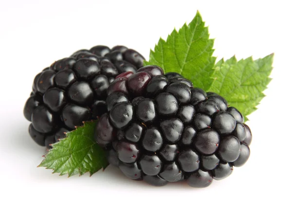 Blackberry with leaves Royalty Free Stock Images