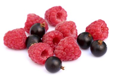 blackcurrant ile Ahududu