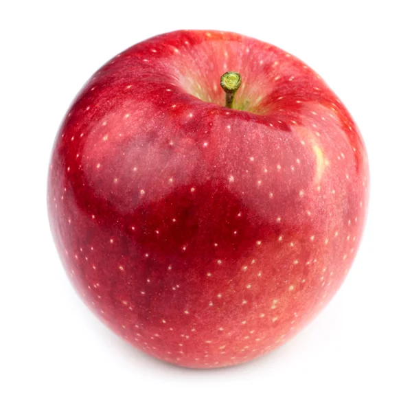 Ein süßer Apfel — Stockfoto