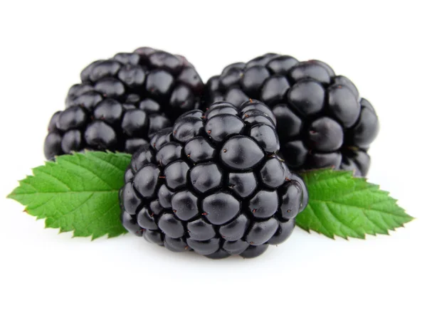 Sweet blackberry with leaves — Stock Photo, Image