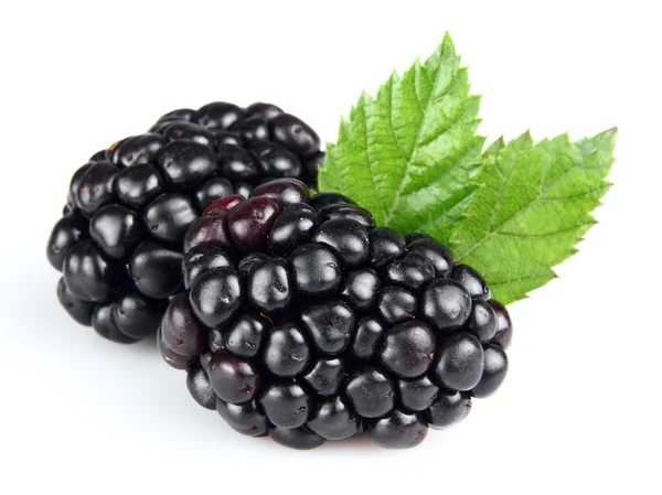 Свіжі blackberry — стокове фото