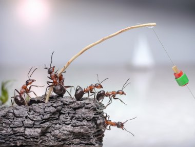 Team of anglers ants fishing at sea, teamwork clipart