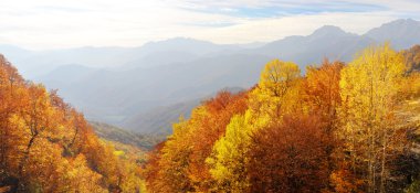 Balkan Mountains in the fall clipart