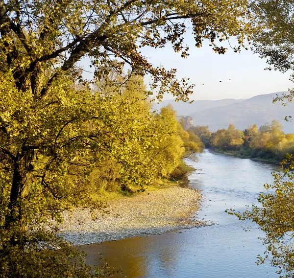 Dağ nehri — Stok fotoğraf