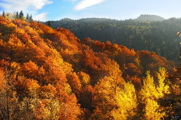 Lindas montanhas de outono — Fotografia de Stock