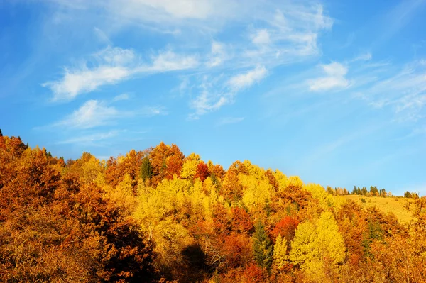 Hermosas montañas de otoño — Foto de Stock