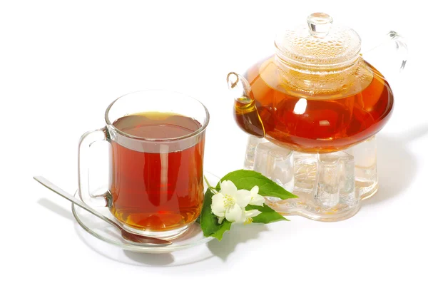 Šálek čaje — Stock fotografie