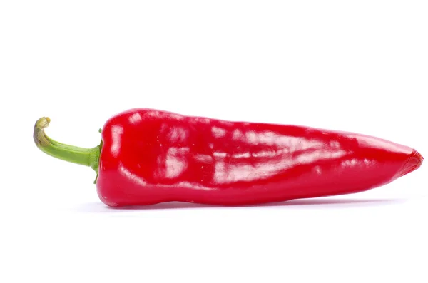 Pepper on white — Stock Photo, Image