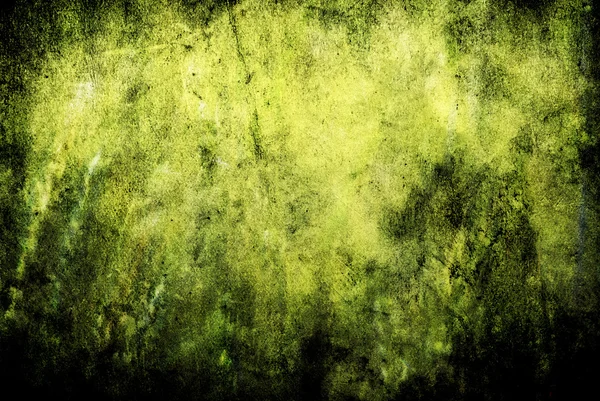 Pszenica zielony — Zdjęcie stockowe