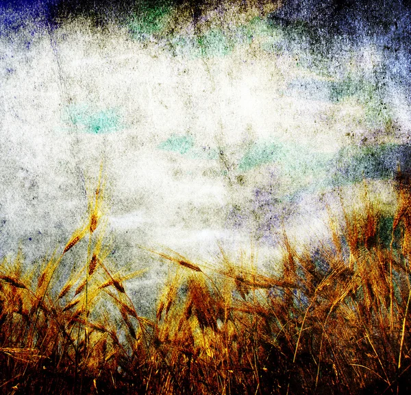 Пшеничные уши Стоковое Изображение