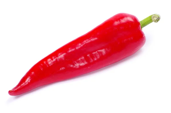 Pepper Stock Image
