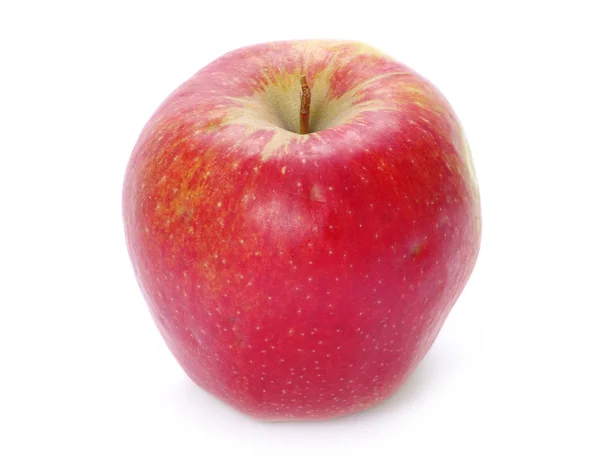 Manzana en blanco —  Fotos de Stock