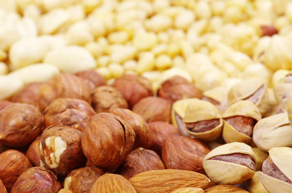 Various nuts — Stock Photo, Image