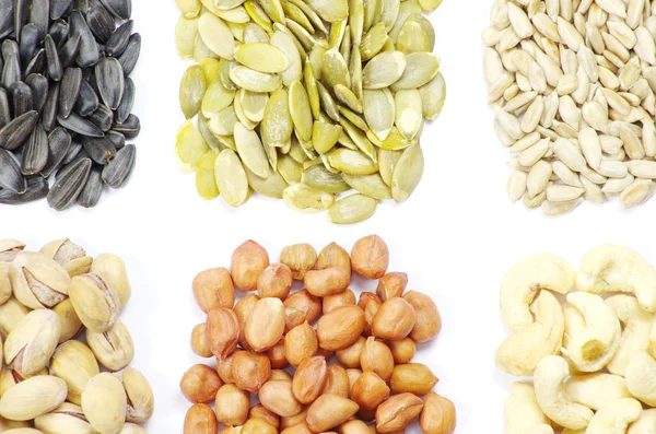 Samen und Nüsse — Stockfoto