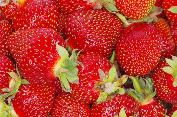 Erdbeertextur — Stockfoto
