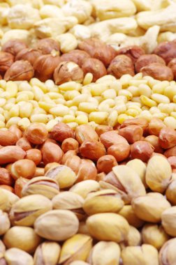 Various nuts clipart