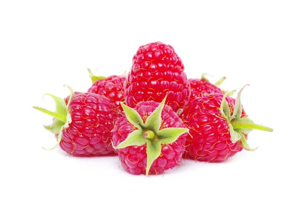 新鲜树莓 — 图库照片