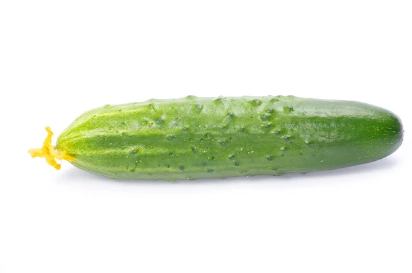 Komkommer — Stockfoto