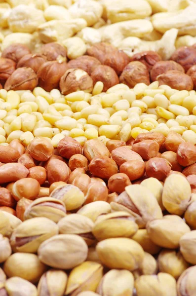 stock image Various nuts