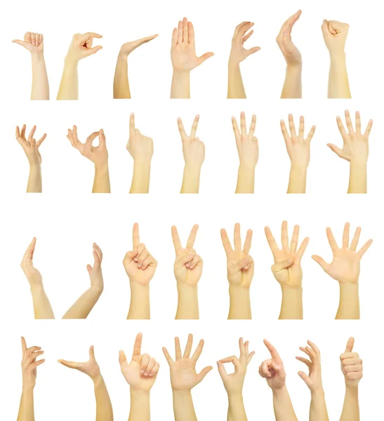 Χέρια πάνω σε άσπρο — Φωτογραφία Αρχείου