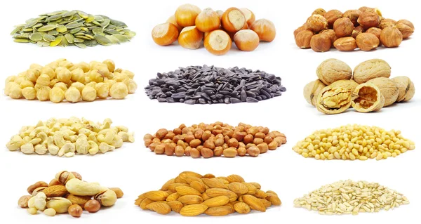 Samen und Nüsse — Stockfoto