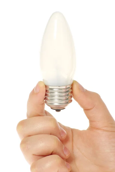 stock image Hand holding bulb