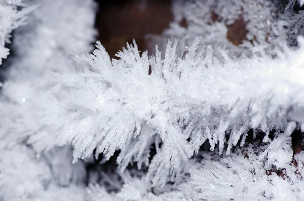 Ice crystals — Stock Photo, Image