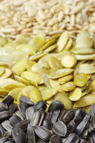 Girasol y semillas de calabaza — Foto de Stock