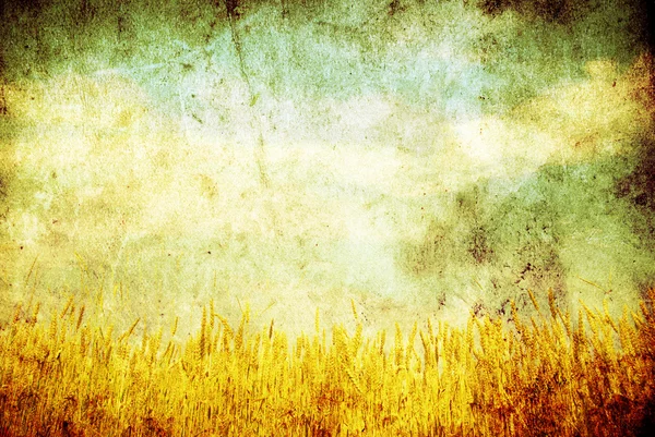 Пшеничное поле Стоковое Фото